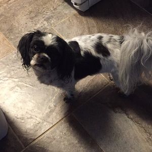 Meet your Posher, Patti